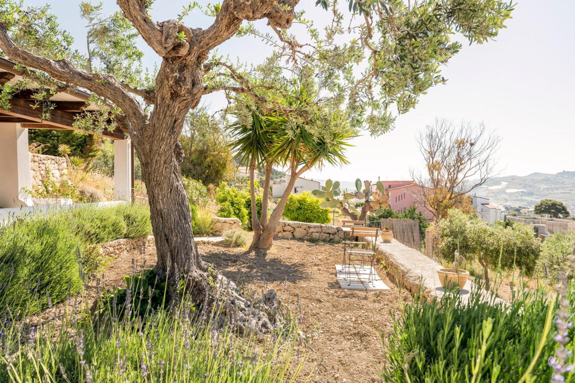 Appartamento Turistico L'Ulivo Marina di Palma Exterior foto