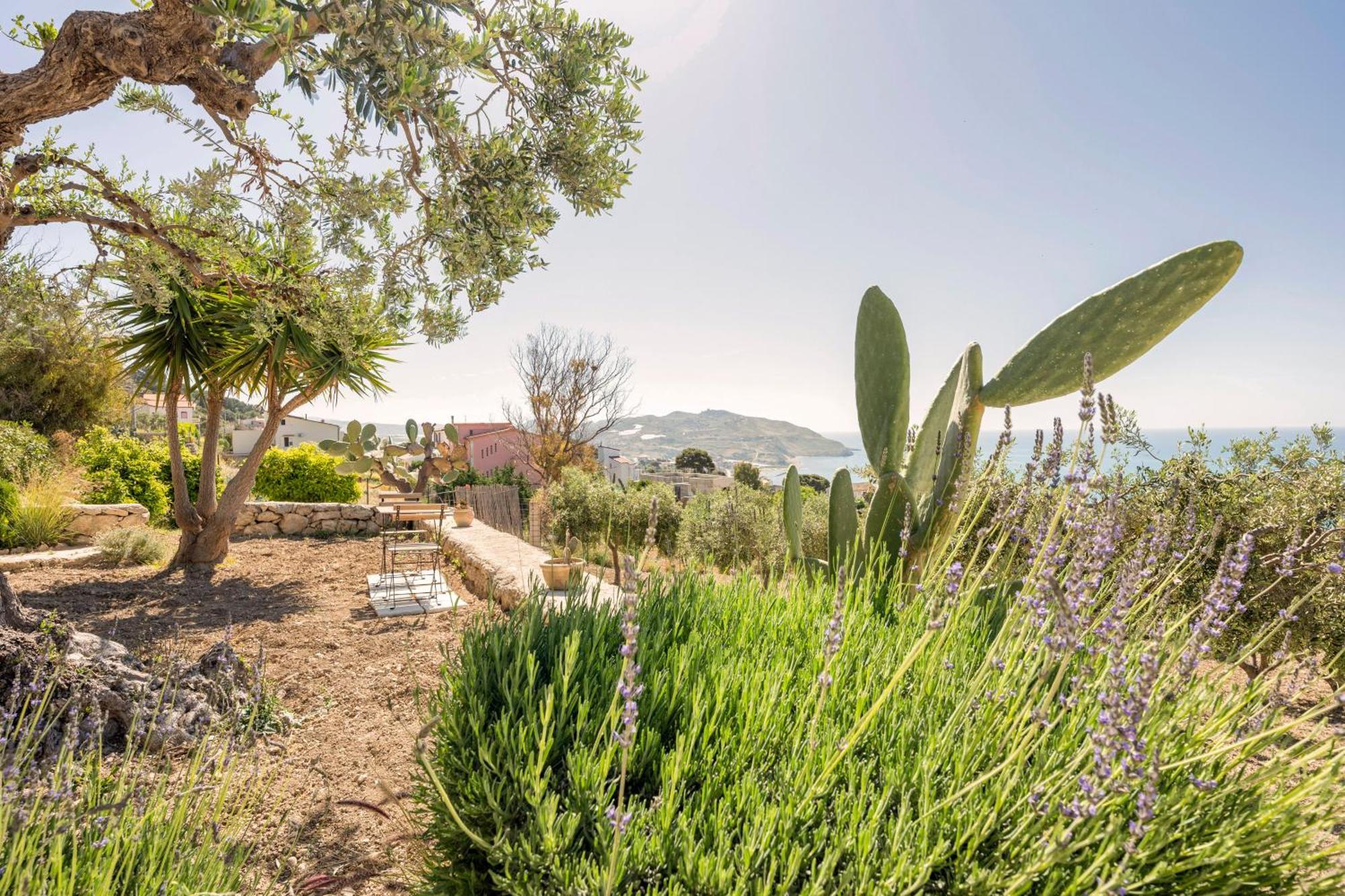 Appartamento Turistico L'Ulivo Marina di Palma Exterior foto